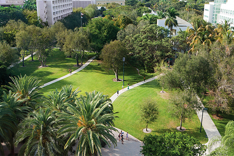 An aerial view of the University of Miami Coral Gables campus.